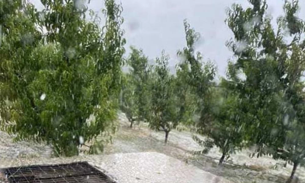 Κοζάνη: Σφοδρό χαλάζι σε μέγεθος στραγαλιού στο Βελβεντό